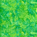 1895 Bali Lime - 71