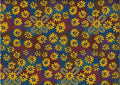 Aust - Lemon Grass Yellow