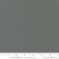 Bella Solids Etchings Slate - 170