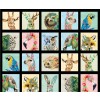 Brush with Nature Wild Life Portraits Black