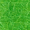 Charade - Green Tonal Paisley - B2200
