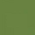 Confetti Cotton Solids Basil