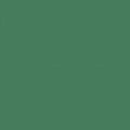 Confetti Cotton Solids Cactus