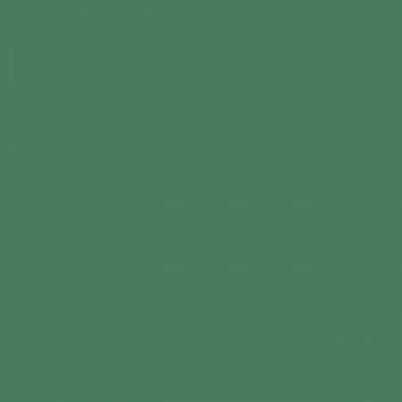 Confetti Cotton Solids Cactus