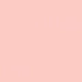 Confetti Cotton Solids Peaches