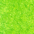 Dotted - Dots Peridot Batik