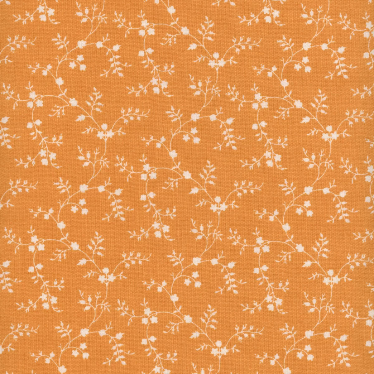 Floral Vines - Pumpkin A-1100-O