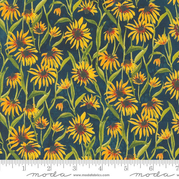 Floribunda Midnight 39805 12 Moda #1