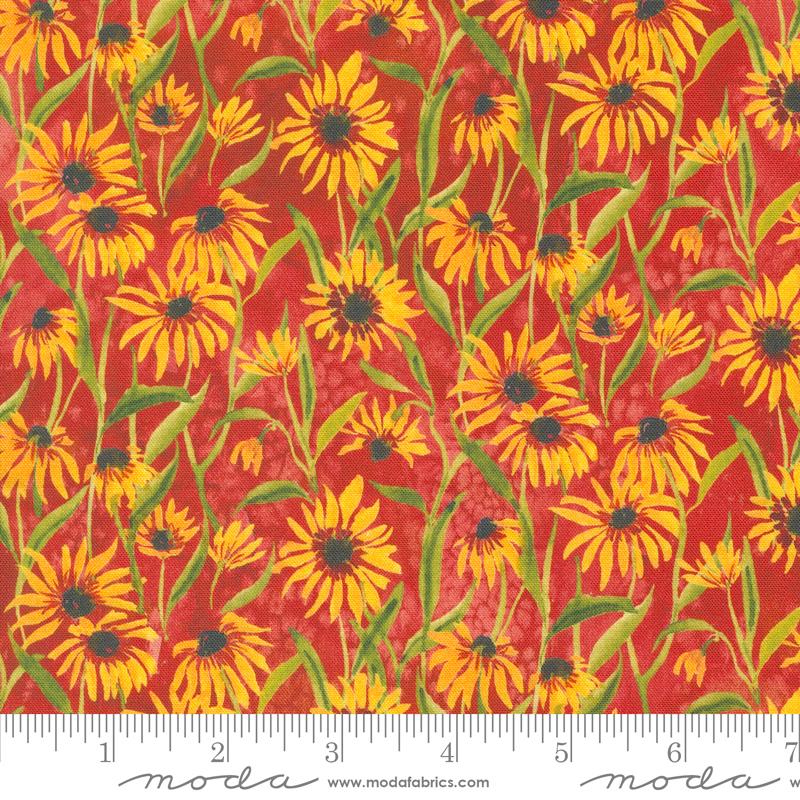 Floribunda Spice 39805 14 Moda #1