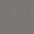 Hauntingly Yours Texture Gray