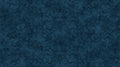 Historic Route 66 Texture Navy
