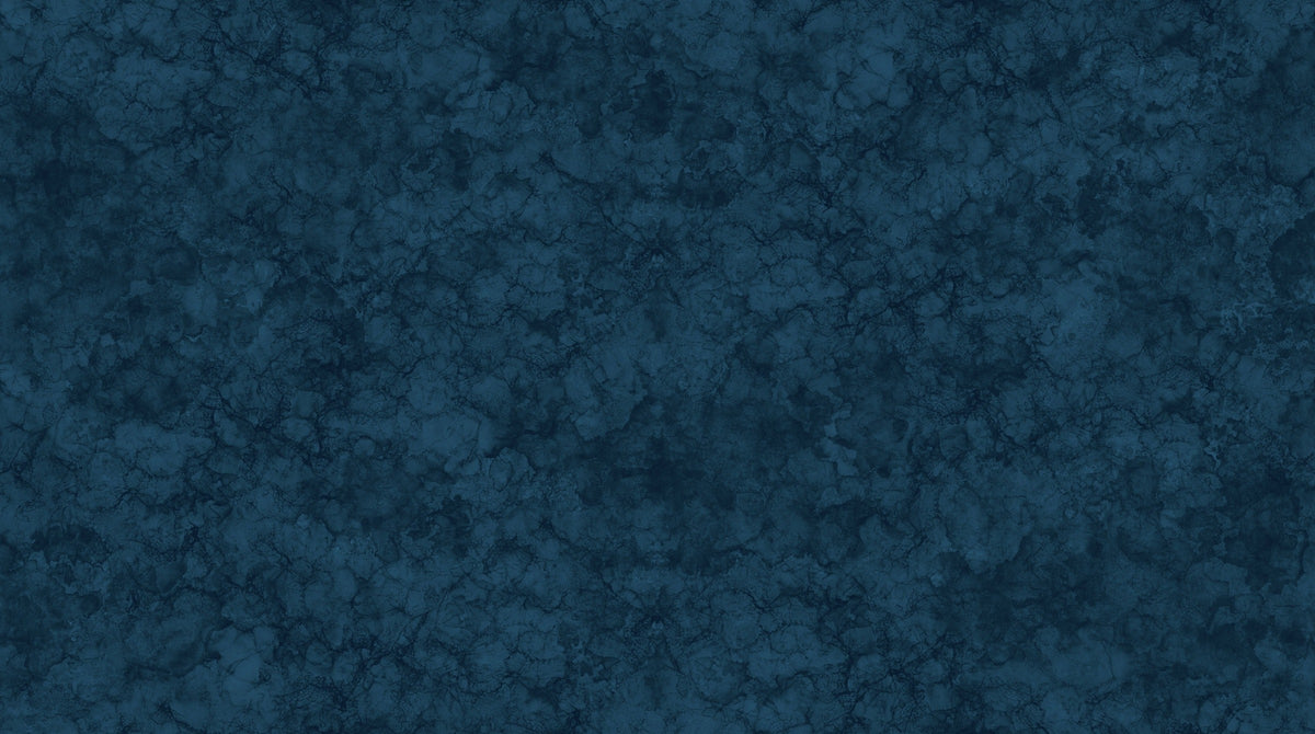 Historic Route 66 Texture Navy