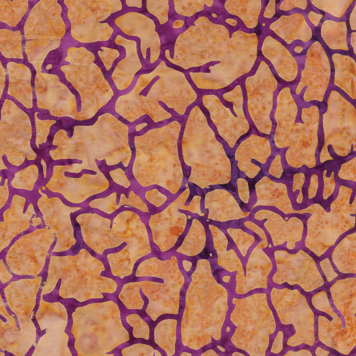 Island - Pavement-Cheddar