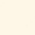 Kona Cotton - Ivory