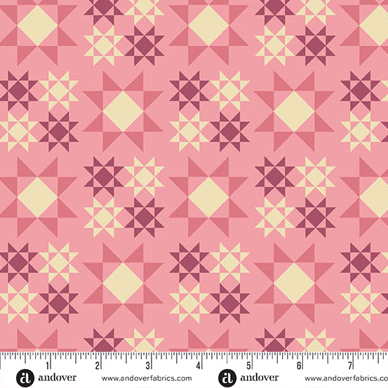 Meadow Walk - Sawtooth Star Petal