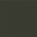 Nature Study Black Walnut Rattan