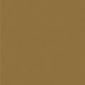 Nature Study Kelp Pile
