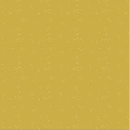 Nature Study Turmeric Astra