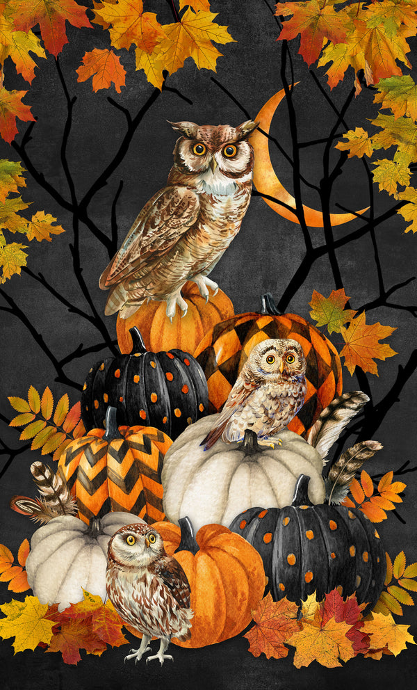 Night Owl - Panel
