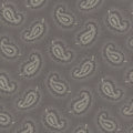 Paisley - Ash A-1102-C