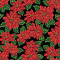 Poinsettias at Christmas Main Black Foil