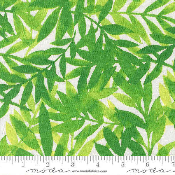 Radiant Grass 21841 15 Moda #1