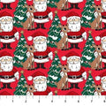 Rudolph the Red-Nosed Reindeer Santa