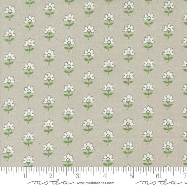 Shoreline Grey 55301 16 Moda #1