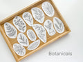 Stick & Stitch Embroidery Patterns - Botanical