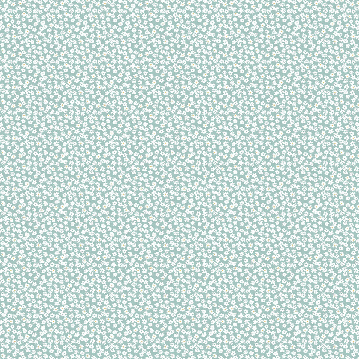 Tender Mint Daises